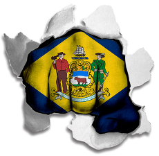 Fist Delaware State Flag Logo custom vinyl decal