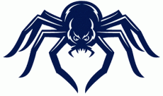 Richmond Spiders 2002-Pres Alternate Logo 07 heat sticker