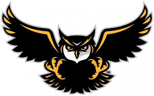 Kennesaw State Owls 2012-Pres Alternate Logo 01 custom vinyl decal