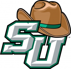 Stetson Hatters 2008-2017 Primary Logo custom vinyl decal