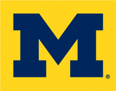 Michigan Wolverines 1996-Pres Alternate Logo 02 heat sticker