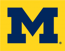 Michigan Wolverines 1996-Pres Alternate Logo 02 custom vinyl decal