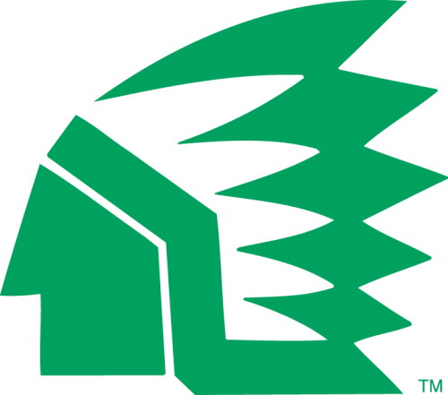 North Dakota Fighting Hawks 1976-1999 Primary Logo heat sticker