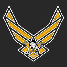 Airforce Pittsburgh Penguins logo custom vinyl decal