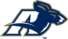 Akron Zips 2002-2007 Secondary Logo heat sticker