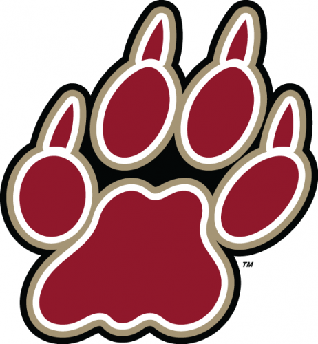 Lafayette Leopards 2000-Pres Alternate Logo 01 custom vinyl decal