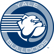 Yale Bulldogs 1998-Pres Alternate Logo custom vinyl decal