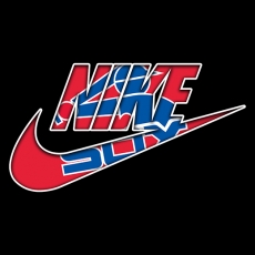 Chicago White Sox Nike logo custom vinyl decal