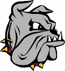 Minnesota-Duluth Bulldogs 1996-Pres Primary Logo custom vinyl decal