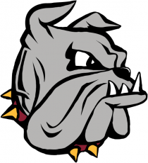 Minnesota-Duluth Bulldogs 1996-Pres Primary Logo heat sticker