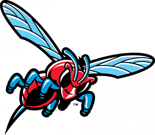 Delaware State Hornets 2004-Pres Misc Logo 02 custom vinyl decal