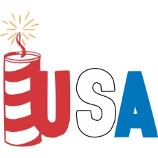 USA Logo 05 custom vinyl decal