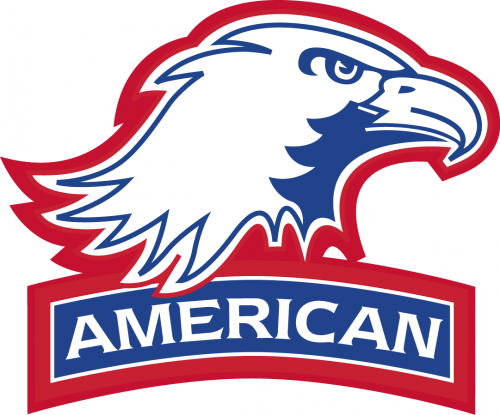 American Eagles 2010-Pres Alternate Logo heat sticker