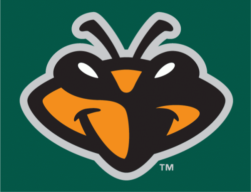 Augusta Greenjackets 2006-2017 Cap Logo heat sticker