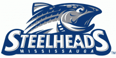 Mississauga Steelheads 2012 13-2014 15 Primary Logo heat sticker