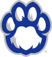 Eastern Illinois Panthers 2015-Pres Alternate Logo 10 heat sticker