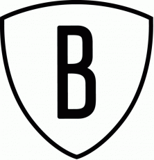 Brooklyn Nets 2012 13-2013 14 Alternate Logo 1 heat sticker