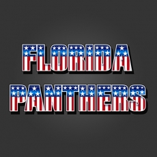 Florida Panthers American Captain Logo heat sticker