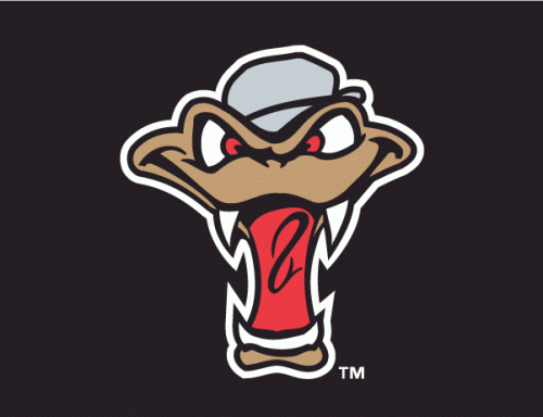 Wisconsin Timber Rattlers 2011-Pres Cap Logo 3 heat sticker