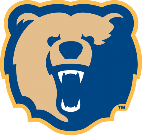 Morgan State Bears 2002-Pres Secondary Logo 01 custom vinyl decal