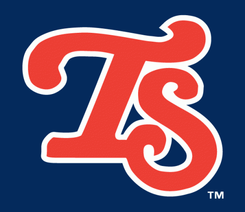 Tennessee Smokies 2003-2006 Cap Logo 2 heat sticker