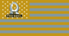 NFL Pro Bowl Flag001 logo heat sticker