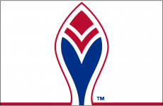 Atlanta Braves 1972-1975 Alternate Logo heat sticker