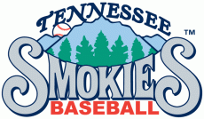 Tennessee Smokies 2000-2014 Primary Logo heat sticker