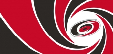 007 Carolina Hurricanes logo heat sticker