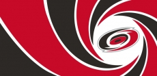 007 Carolina Hurricanes logo custom vinyl decal