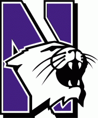 Northwestern Wildcats 1981-2011 Primary Logo 01 heat sticker