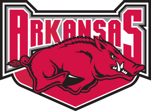 Arkansas Razorbacks 2001-2008 Alternate Logo custom vinyl decal