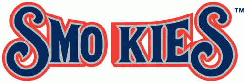 Tennessee Smokies 2000-2014 Wordmark Logo heat sticker