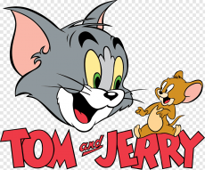 Tom and Jerry Logo 27 custom vinyl decal
