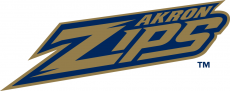 Akron Zips 2002-2013 Wordmark Logo custom vinyl decal