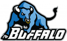 Buffalo Bulls 2007-2015 Secondary Logo heat sticker