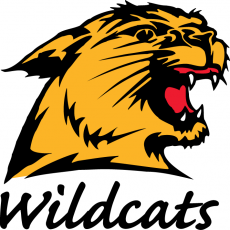 Northern Michigan Wildcats 1993-2015 Alternate Logo 02 custom vinyl decal