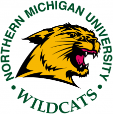 Northern Michigan Wildcats 1993-2015 Primary Logo custom vinyl decal