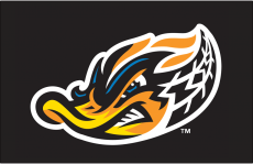 Akron RubberDucks 2014-Pres Cap Logo 4 heat sticker