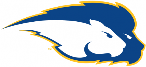 Hofstra Pride 2005-Pres Secondary Logo heat sticker