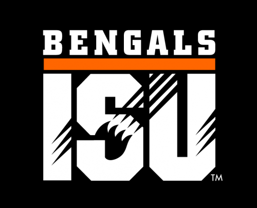 Idaho State Bengals 1997-2018 Wordmark Logo 05 heat sticker