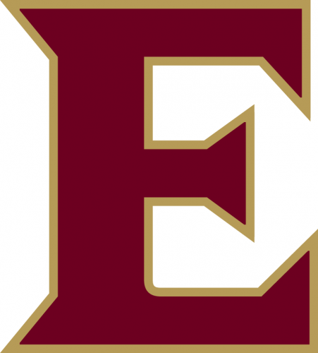 Elon Phoenix 2016-Pres Alternate Logo 01 custom vinyl decal