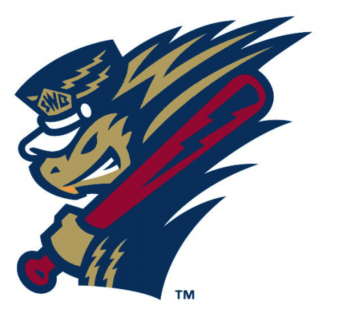 Scranton_Wilkes-Barre RailRiders 2013-Pres Alternate Logo 5 heat sticker