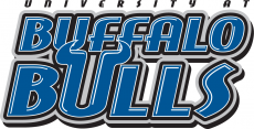 Buffalo Bulls 1997-2006 Wordmark Logo 02 heat sticker