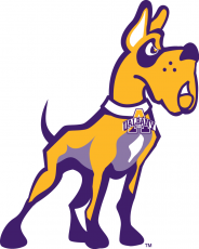 Albany Great Danes 2008-Pres Alternate Logo 02 heat sticker