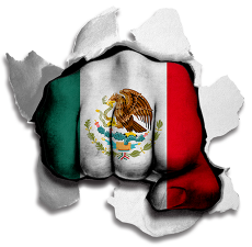 Fist Mexico Flag Logo custom vinyl decal