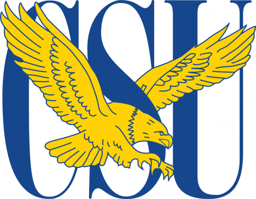 Coppin State Eagles 2004-2016 Primary Logo heat sticker