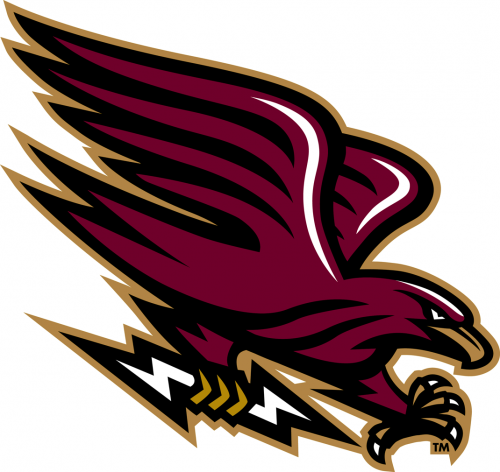 Louisiana-Monroe Warhawks 2006-2010 Alternate Logo 05 heat sticker