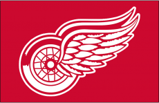 Detroit Red Wings 1982 83 Jersey Logo heat sticker