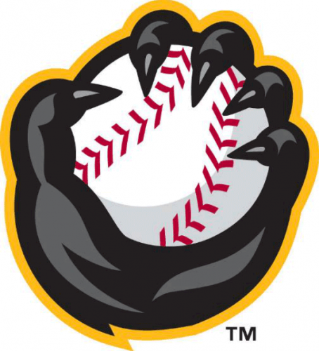 Quad Cities River Bandits 2014-Pres Alternate Logo heat sticker